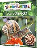 Meine große Tierbibliothek: Die Schnecke: Sachbuch für Vorschule & Grundschule