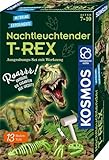 KOSMOS 658021 Nachtleuchtender T-REX Experimentierset für Kinder ab 7 Jahren, Dinosaurier, Fossilien, Ausgrabung, Urzeit, tief verborgen im Gipsblock, Mitbringsel, Geschenk