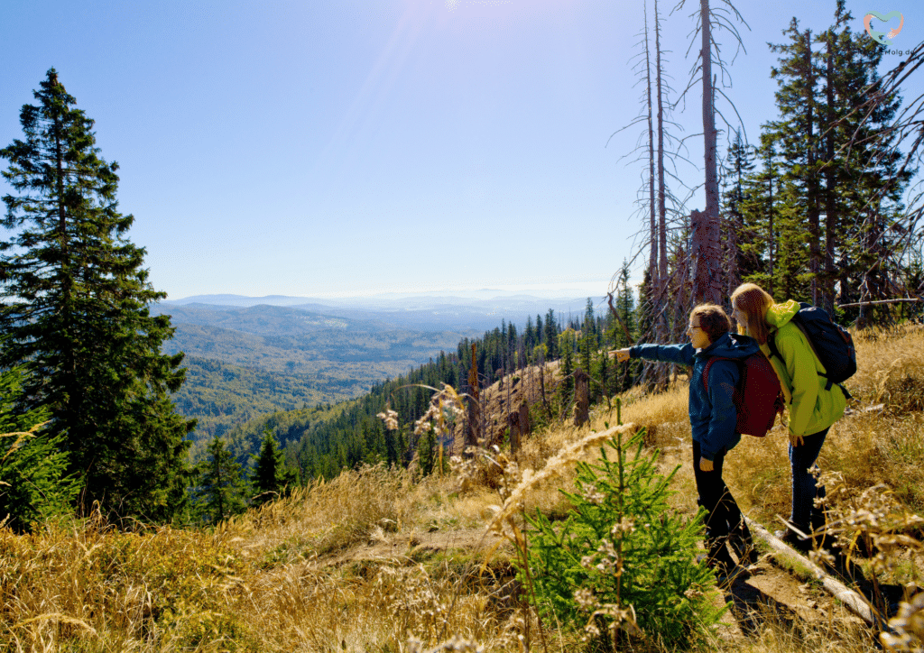 Ausflugsziele Bayerischer Wald Kinder